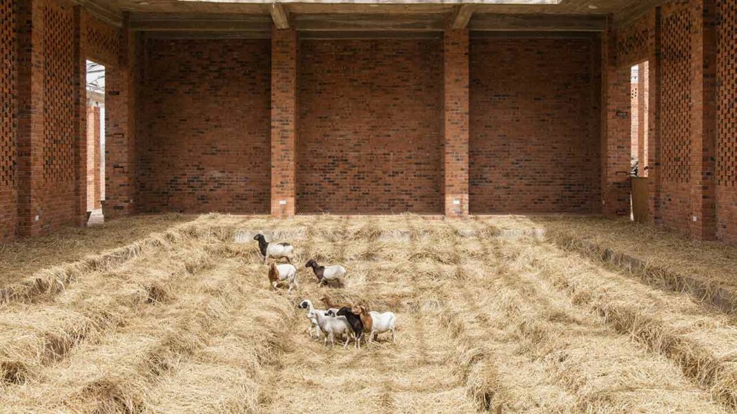 Ibrahim Mahama, Sheep and Hay. Parliament of Ghosts Series. Red Clay Tamale